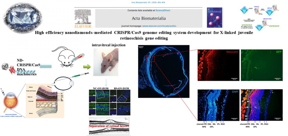 Nanodiamonds enhanced genome editing efficiency of CRISPR/Cas 9 system